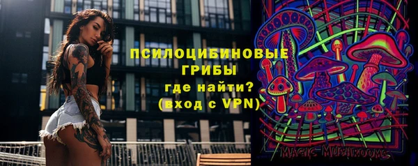 mdpv Инта