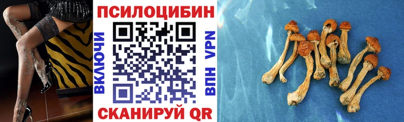 даркнет сайт  Касимов  Галлюциногенные грибы Psilocybine cubensis 