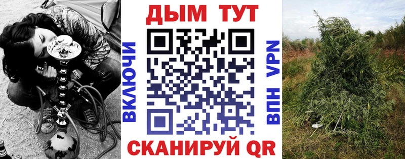 Бошки Шишки гибрид  OMG ССЫЛКА  Касимов 